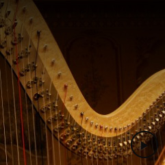 Audio_0004_Harp